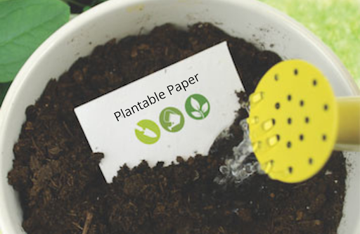 Read And Know More About Plantable Paper And Save Trees