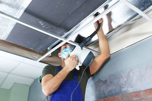 Mold, Bacteria, and Ducts: The Role of Air Duct Cleaning