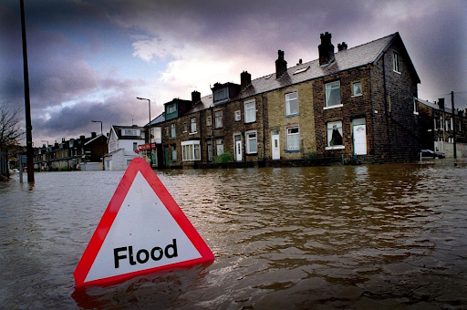 Flood Risk Assessment Companies: Mitigating Disaster Through Expertise